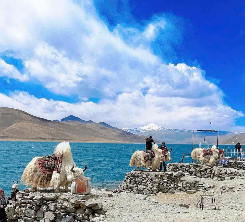 TÂY TẠNG HUYỀN BÍ 10 NGÀY 9 ĐÊM CẢNH SẮC ĐỔI THAY KHÁC LẠ 4 MÙA ĐƯỜNG BAY & TÀU THANH TẠNG TỪ HÀ NỘI - TP HCM GIÁ TIẾT KIỆM TOÀN CẢNH TÂY TẠNG NGẮM HOA ĐÀO LÂM CHI VÀO MÙA XUÂN (SUMMIT TRAVEL CHUYÊN TOUR TÂM LINH)