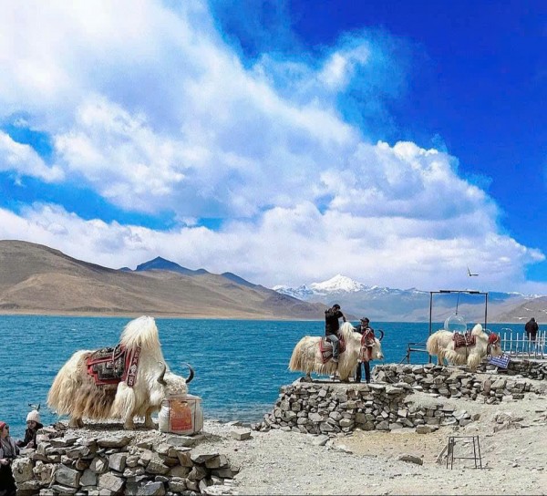 TÂY TẠNG HUYỀN BÍ 10 NGÀY 9 ĐÊM CẢNH SẮC ĐỔI THAY KHÁC LẠ 4 MÙA ĐƯỜNG BAY & TÀU THANH TẠNG TỪ HÀ NỘI - TP HCM GIÁ TIẾT KIỆM TOÀN CẢNH TÂY TẠNG NGẮM HOA ĐÀO LÂM CHI VÀO MÙA XUÂN (SUMMIT TRAVEL CHUYÊN TOUR TÂM LINH)