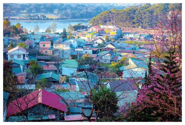 HÀ NỘI - ĐÀ LẠT - NÔNG TRẠI CÚN LANG BIANG - CHÙA LINH PHƯỚC