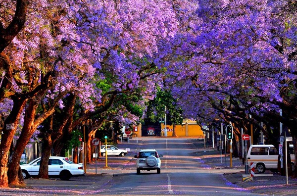 TOUR DU LỊCH NAM PHI TỪ HÀ NỘI - JOHANNESBURG -PRETORIA-CAPE TOWN -HERMANUS