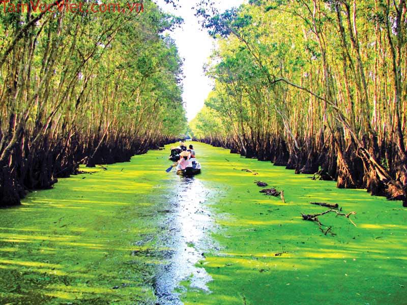  TOUR MIỀN TẦY TỪ HÀ NỘI - CẦN THƠ-BẠC LIÊU-CÀ MAU-RỪNG TRÀM TRÀ SƯ CHÂU ĐỐC