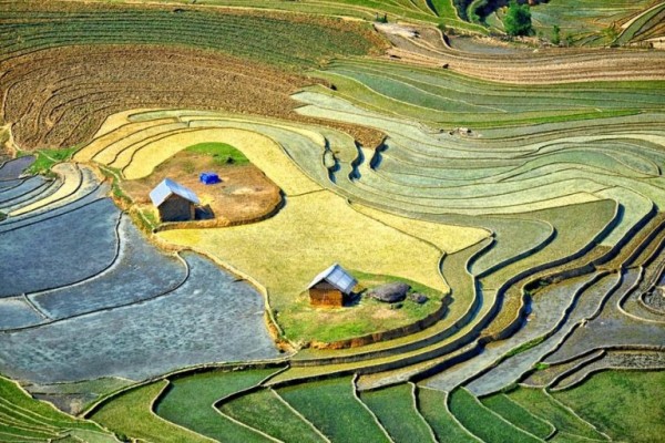 DU LỊCH VÙNG CAO TÂY BẮC TOUR ĐẶC SẮC HÀ NỘI – NGHĨA LỘ - TRẠM TẤU – TÚ LỆ  MÙ CANG CHẢI 3 NGÀY 2 ĐÊM TRỌN GÓI GIÁ RẺ KHÁM PHÁ MÙA NƯỚC ĐỔ TỚI MÙA LÚA CHÍN HAY MÙA HOA RỪNG BẠT NGÀN 