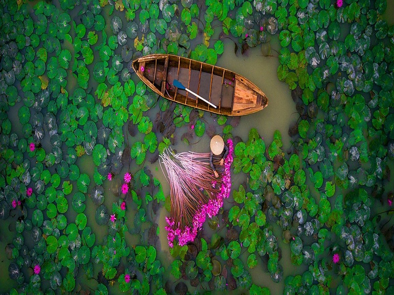  TOUR MIỀN TẦY TỪ HÀ NỘI - CẦN THƠ-BẠC LIÊU-CÀ MAU-RỪNG TRÀM TRÀ SƯ CHÂU ĐỐC